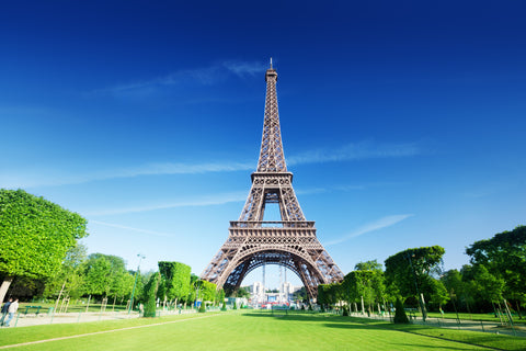 Eiffel Tower Pic 1