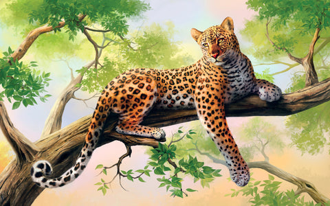 Leopard Pic 4